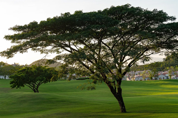 致舍景觀 ｜ 阿那亞三亞南花園