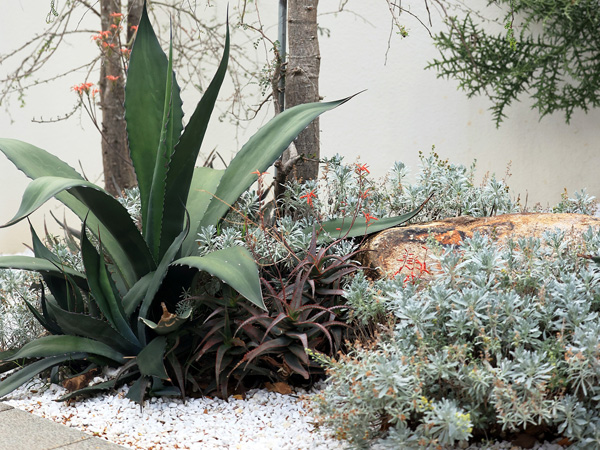 致舍景觀 ｜ 阿那亞三亞南花園