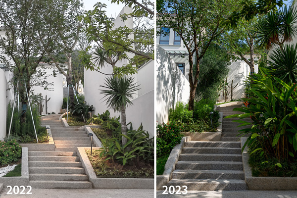 致舍景觀 ｜ 阿那亞三亞南花園