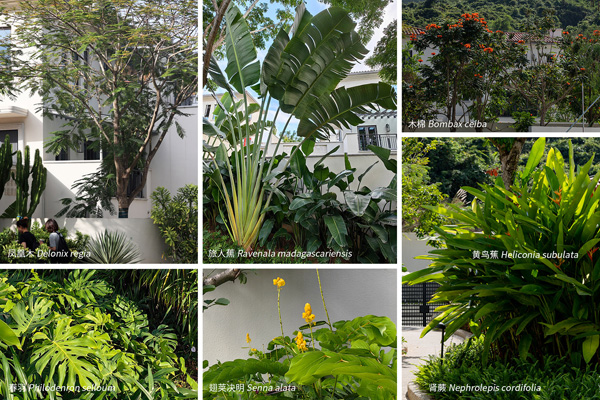 致舍景觀 ｜ 阿那亞三亞南花園