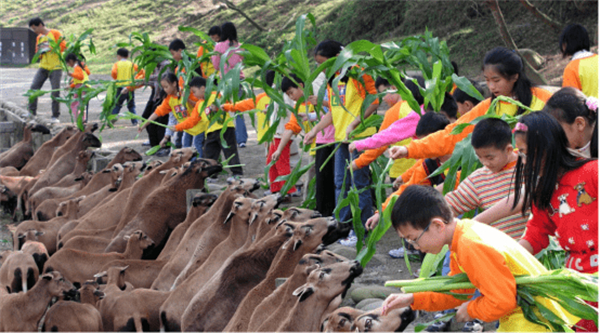 苗栗縣飛牛牧場(chǎng)：牛到飛起的休閑農(nóng)業(yè)牧場(chǎng)