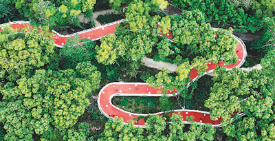 年輕人為何愛(ài)上Citywalk城市漫步？