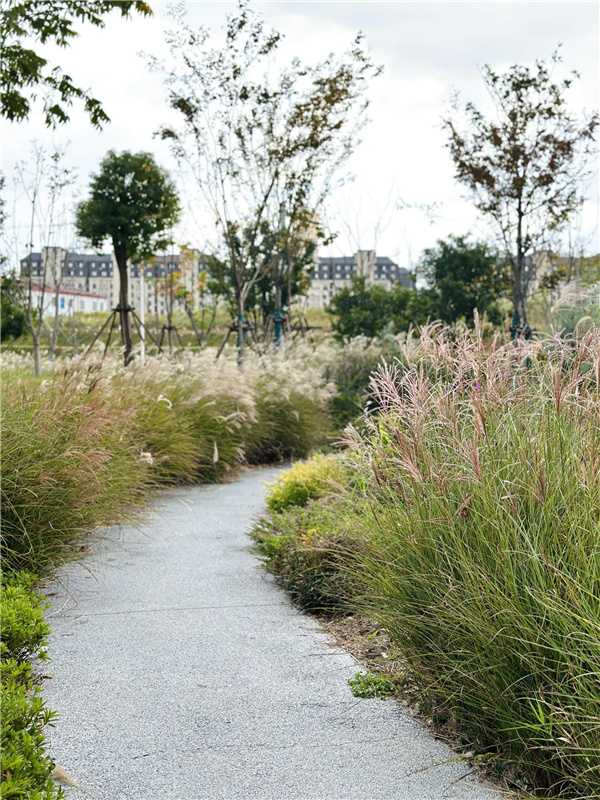 或然景觀丨活力草坪作為生活水岸目的地