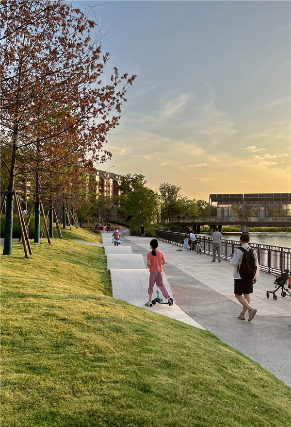 或然景觀丨活力草坪作為生活水岸目的地