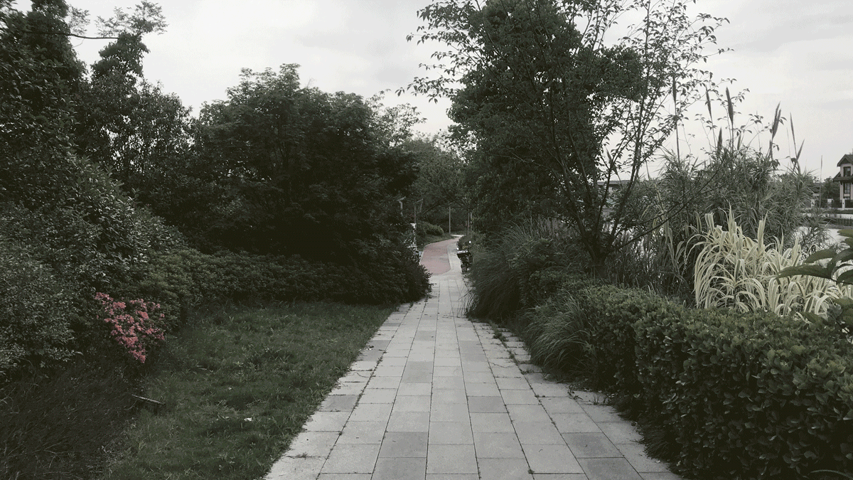 或然景觀丨活力草坪作為生活水岸目的地