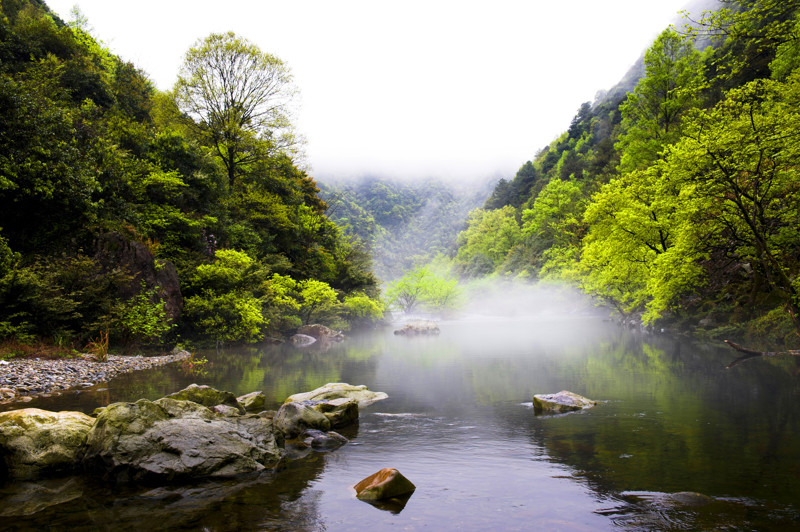 長三角首個國家公園將誕生