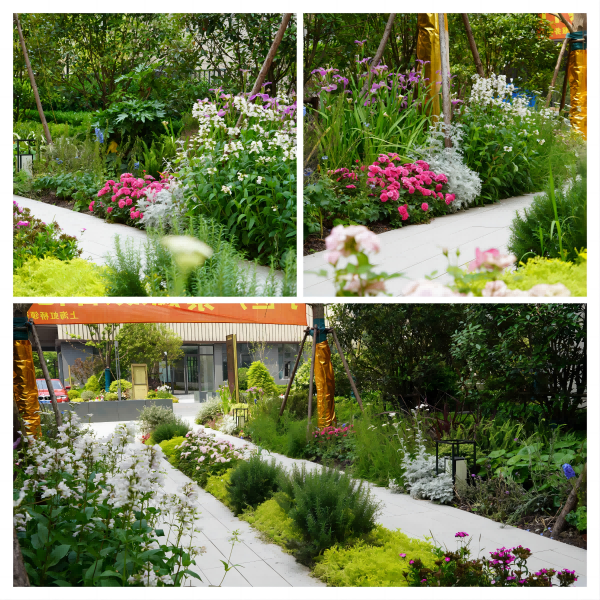 園冶杯參賽作品丨上海南山虹橋領峯項目花境工程
