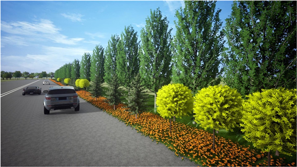 園冶杯參賽作品丨清河縣308國(guó)道沿線提升