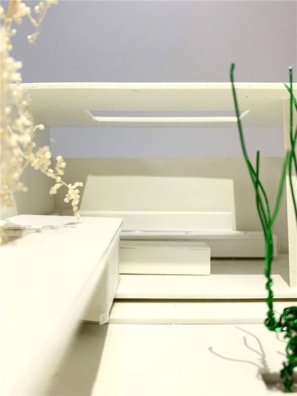 園冶杯參賽作品丨桐鄉香格里拉某庭院