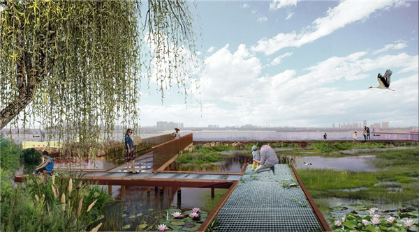 園冶杯參賽作品丨武漢中法半島小鎮(zhèn)生態(tài)修復規(guī)劃設計