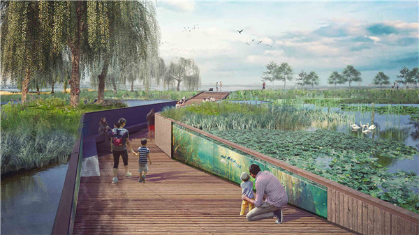 園冶杯參賽作品丨武漢中法半島小鎮(zhèn)生態(tài)修復規(guī)劃設計