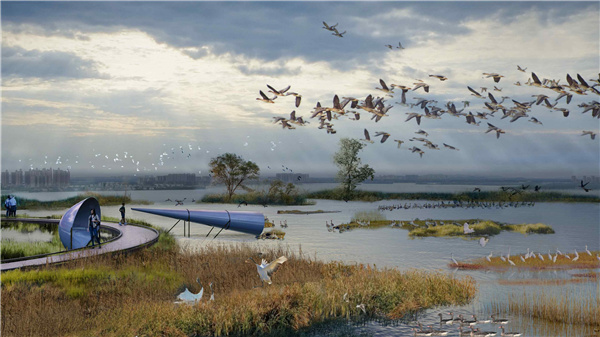 園冶杯參賽作品丨武漢中法半島小鎮(zhèn)生態(tài)修復規(guī)劃設計