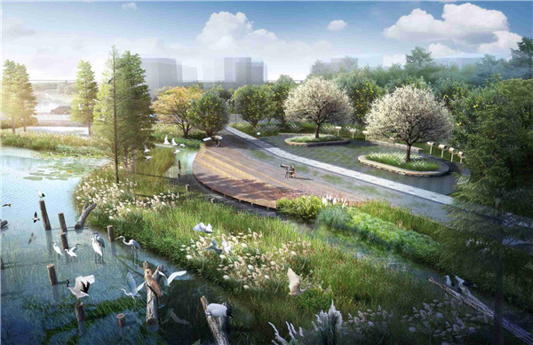 園冶杯參賽作品丨武漢中法半島小鎮(zhèn)生態(tài)修復規(guī)劃設計