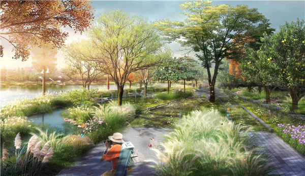 園冶杯參賽作品丨武漢中法半島小鎮(zhèn)生態(tài)修復規(guī)劃設計