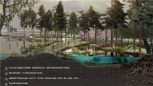 園冶杯參賽作品丨武漢中法半島小鎮(zhèn)生態(tài)修復規(guī)劃設計