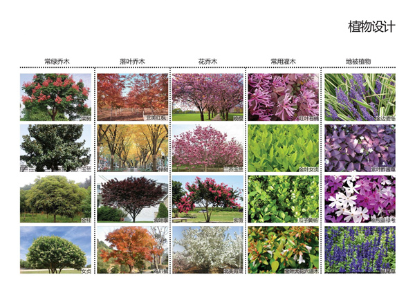 園冶杯參賽作品丨西安高新環普科技產業園擴建工程（三期）