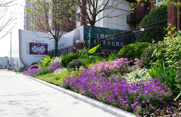 園冶杯參賽作品丨金地新樂里項(xiàng)目景觀花境工程