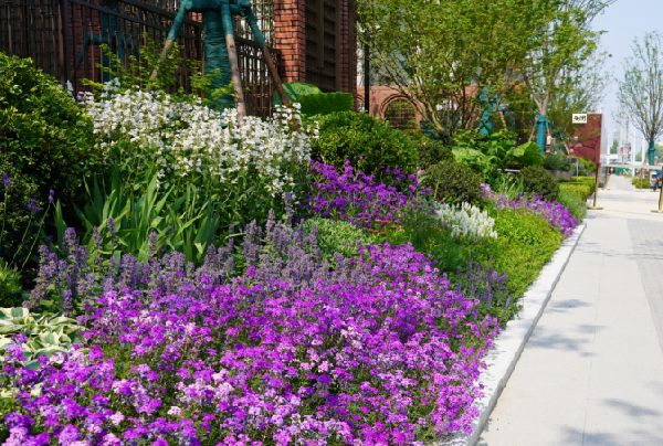 園冶杯參賽作品丨金地新樂里項(xiàng)目景觀花境工程