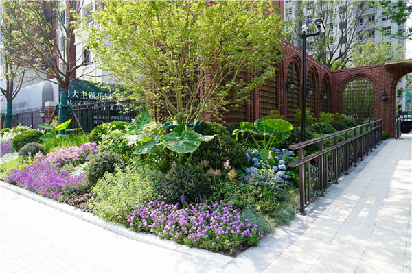 園冶杯參賽作品丨金地新樂里項(xiàng)目景觀花境工程