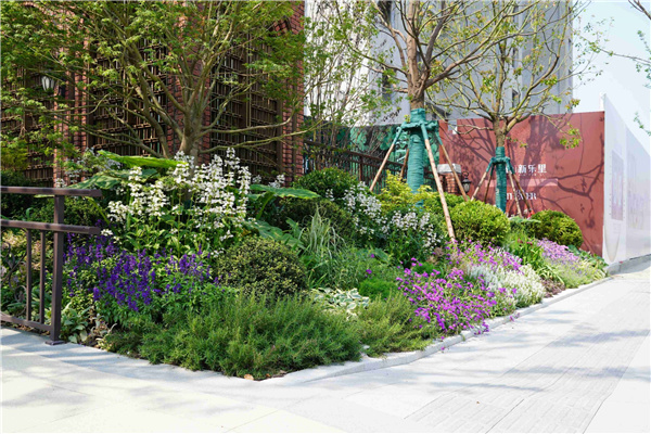 園冶杯參賽作品丨金地新樂里項(xiàng)目景觀花境工程