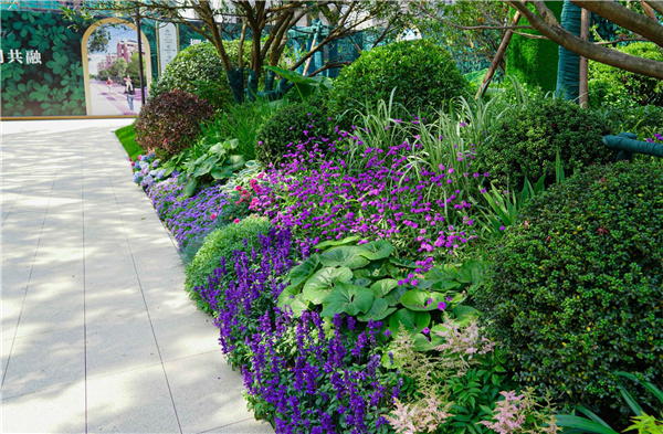園冶杯參賽作品丨金地新樂里項(xiàng)目景觀花境工程