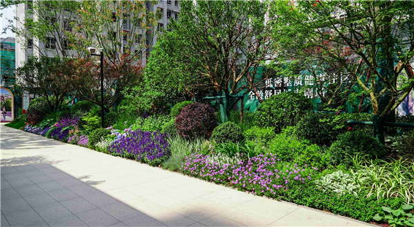 園冶杯參賽作品丨金地新樂里項(xiàng)目景觀花境工程