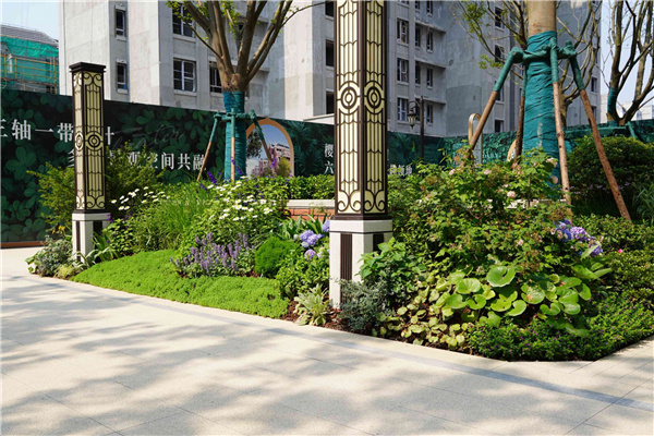 園冶杯參賽作品丨金地新樂里項(xiàng)目景觀花境工程