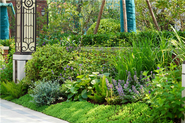 園冶杯參賽作品丨金地新樂里項(xiàng)目景觀花境工程