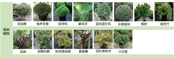 園冶杯參賽作品丨金地新樂里項(xiàng)目景觀花境工程