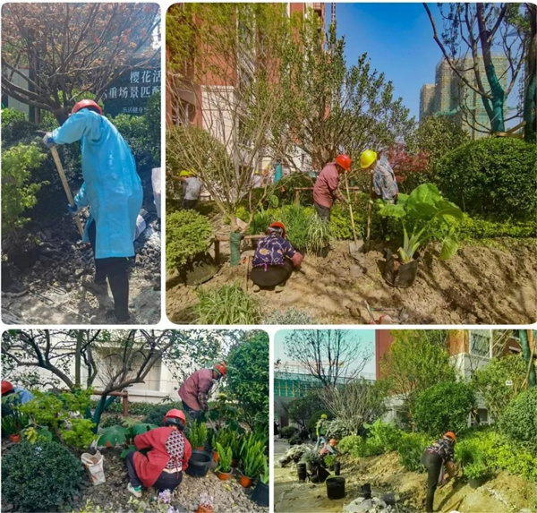 園冶杯參賽作品丨金地新樂里項(xiàng)目景觀花境工程