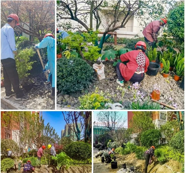 園冶杯參賽作品丨金地新樂里項(xiàng)目景觀花境工程