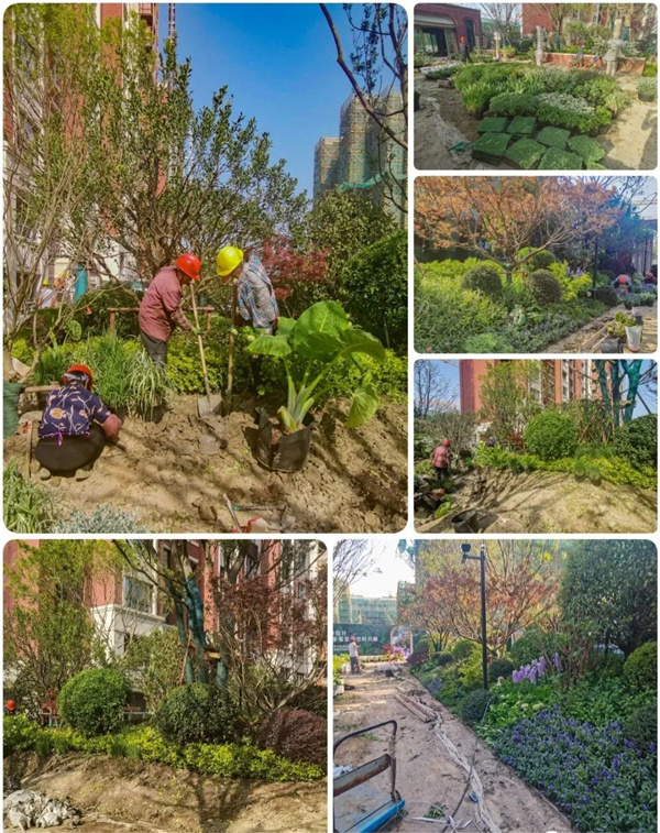 園冶杯參賽作品丨金地新樂里項(xiàng)目景觀花境工程