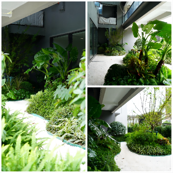 園冶杯參賽作品丨嘉興華潤潤府項(xiàng)目北地塊景觀花境工程