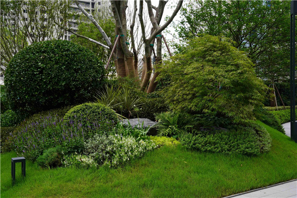 園冶杯參賽作品丨嘉興華潤潤府項(xiàng)目北地塊景觀花境工程