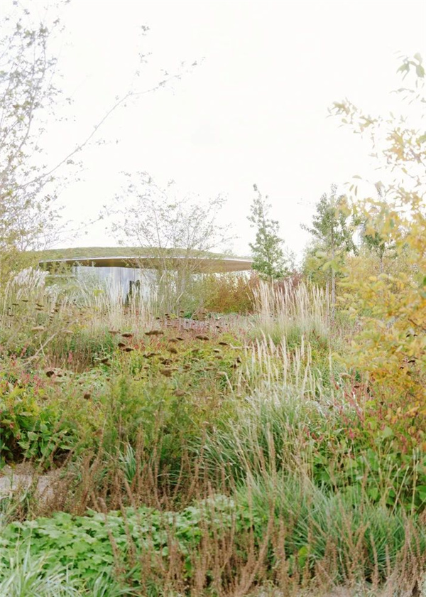 Cobe丨綠之島——歌劇院公園