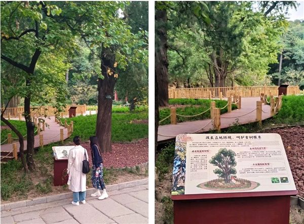 京都風景助力北京生態文明發展建設的十年