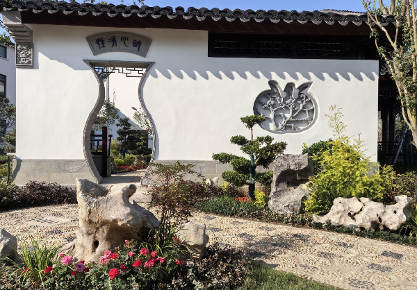 費家浜:特色田園鄉村建設讓無垠星空映照廣闊鄉村