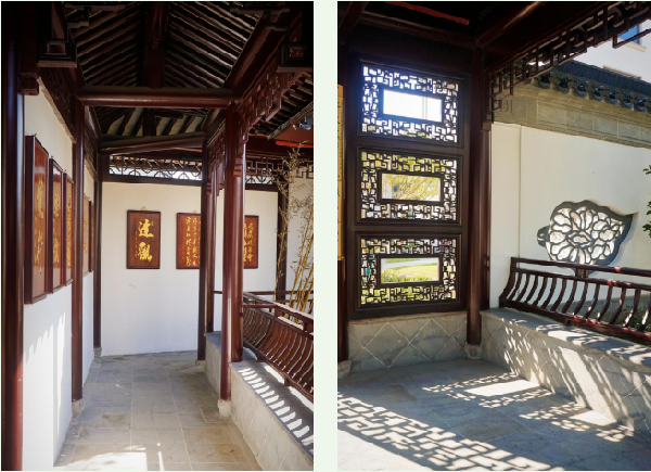 費家浜:特色田園鄉村建設讓無垠星空映照廣闊鄉村