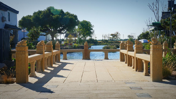 費家浜:特色田園鄉村建設讓無垠星空映照廣闊鄉村