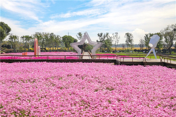 費家浜:特色田園鄉村建設讓無垠星空映照廣闊鄉村