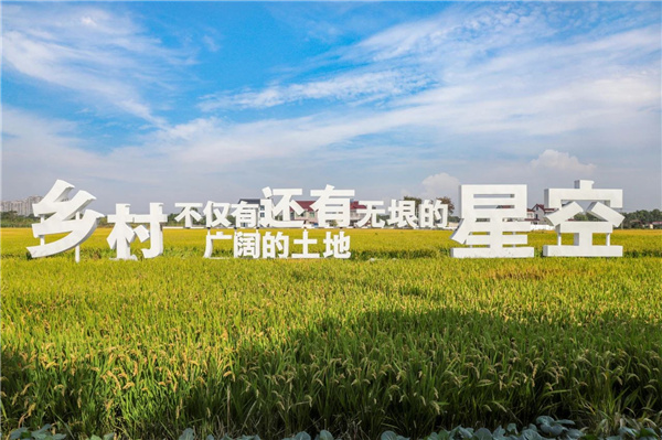 費家浜:特色田園鄉村建設讓無垠星空映照廣闊鄉村