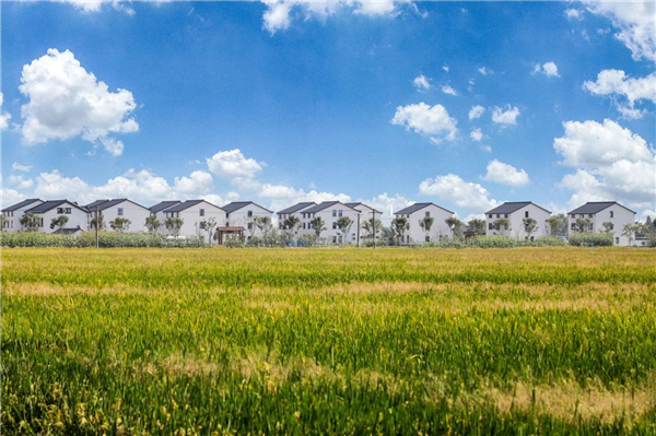 費家浜:特色田園鄉村建設讓無垠星空映照廣闊鄉村