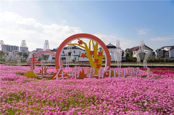 費家浜:特色田園鄉村建設讓無垠星空映照廣闊鄉村