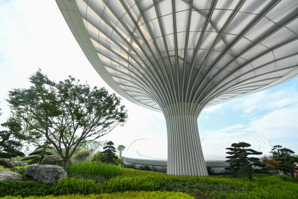 成都世園會：園藝+科技，這些場景很奇妙