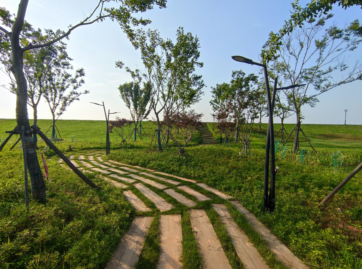 中電建華東院丨蘄春縣雷溪河及蘄河整治