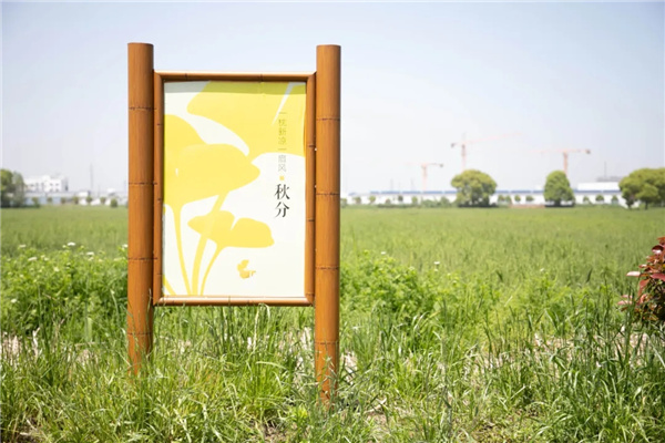 平介設計丨震澤“五美三優”鄉村景觀改造