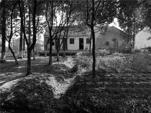 平介設計丨震澤“五美三優”鄉村景觀改造