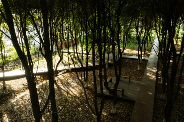 平介設計丨震澤“五美三優”鄉村景觀改造