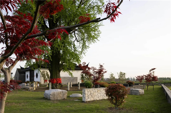 平介設計丨震澤“五美三優”鄉村景觀改造