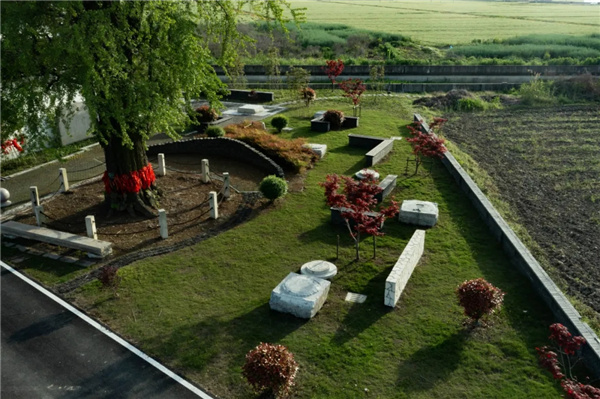 平介設計丨震澤“五美三優”鄉村景觀改造